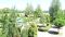 Studio 45,85 m² in Aspen Valley, Raslog