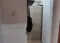 Studio 38 m² in Bansko, Skizone, Eigener Hof